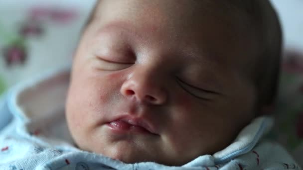 Baby Newborn Infant Close Portrait — Wideo stockowe