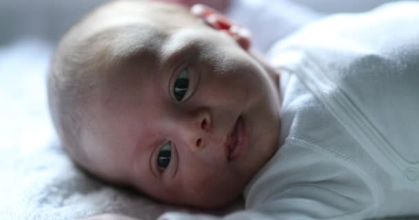 Newborn Baby First Week Life — Stok video