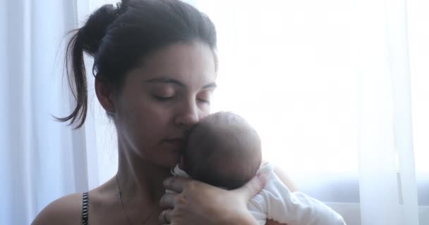 Mother Holding Newborn Baby Next Home Window First Week Life — Stock video