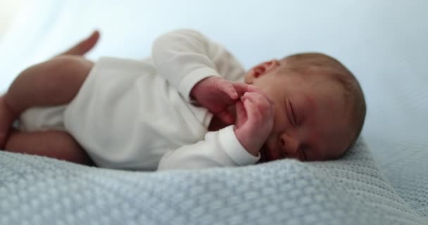 Newborn Baby Infant Sleeping Taking Nap — Stockvideo