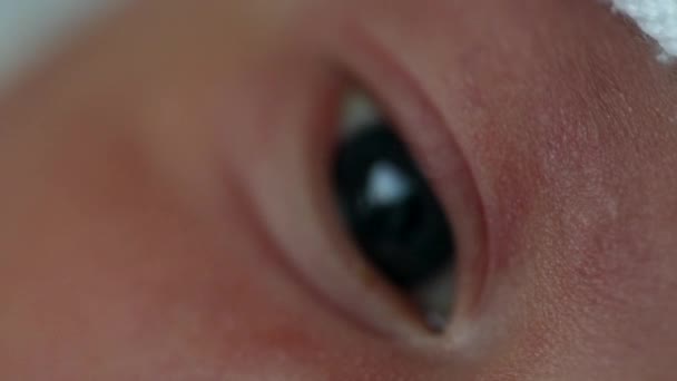 Newborn Baby Infant Close Macro Eyes — 비디오