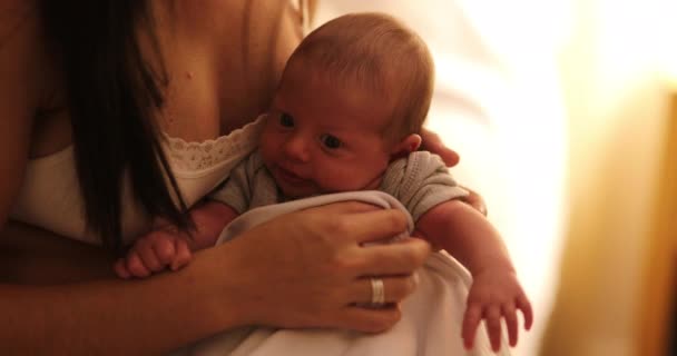 Newborn Baby First Week Life Awake Night — Stock Video