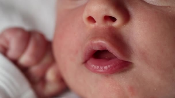 Closeup Newborn Baby Infant Face Mouth Eyes — Vídeos de Stock