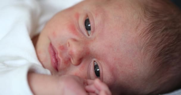 Newborn Baby Face Tired Look — Stockvideo