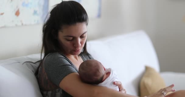 Mother Newborn Baby Interaction Showing Love Affection Hugging Kissing — Wideo stockowe