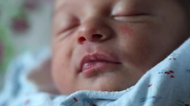 Portrait Sleeping Newborn Baby Deep Sleep — Stockvideo