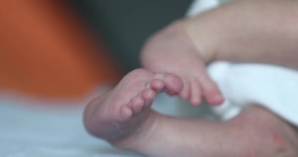Baby Newborn Feet Close Cute Infant Feet — Stock videók