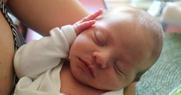 Newborn Baby Sleeping Having Dreams — Stock videók