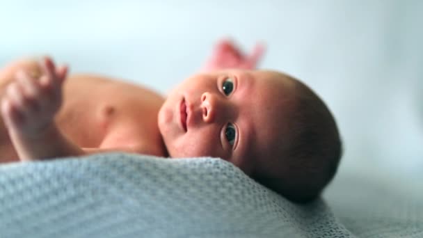 Новорожденный Младенец Первые Дни Жизни Смотрит Наблюдая Портрет — стоковое видео