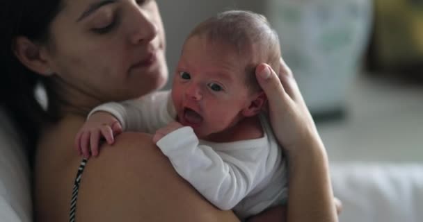 Mother Infant Newborn Baby Her Arms First Days Life — Stockvideo