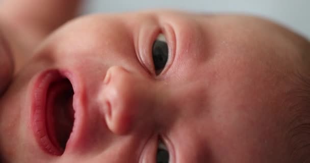 Extreme Closeup Newborn Baby Infant Face — 비디오