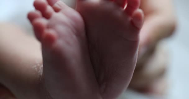Newborn Baby Feet Macro Close Infant Foot Together First Week — Stock video