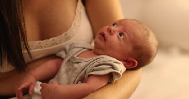 Holding Newborn Baby Infant First Week Life — Vídeo de Stock