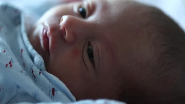 Tiny Newborn Baby Curious Observing World Infant Looking Camera First — Vídeos de Stock