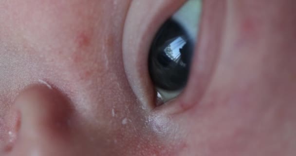 Newborn Macro Ear Close Infant Observing World — Stockvideo