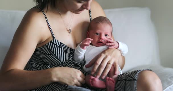 Mom Holding Newborn Baby First Week Life Fragile — Vídeos de Stock