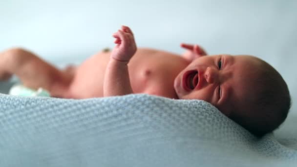Newborn Baby Infant First Week Life Laid Bed Awake — Stockvideo