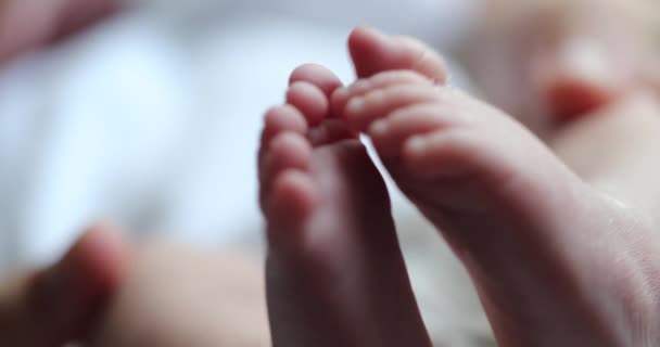 Newborn Baby Feet Together Infant Foot — Video Stock