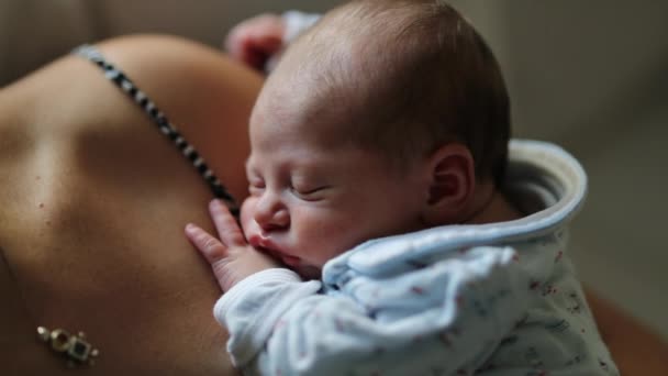 Little Newborn Baby Sleeping First Days Life — Wideo stockowe