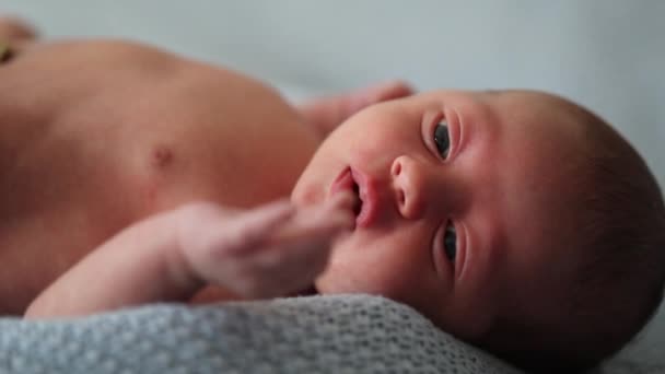 Closeup Newborn Baby Infant Looking Observing Macro Face Eyes — Stockvideo