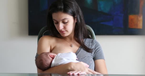 Mother Breastfeeding Newborn Baby Infant Home Casual Candid — ストック動画