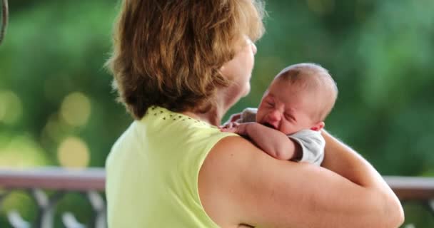 Grand Parent Holding Newborn Baby Infant — Stockvideo