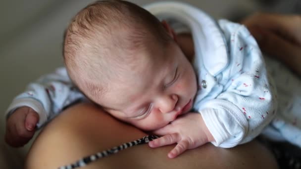 Новонароджена Дитина Спить Материнських Обіймах Крупним Планом Спить — стокове відео