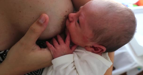 Mother Breastfeeding Newborn Baby Infant — Vídeos de Stock