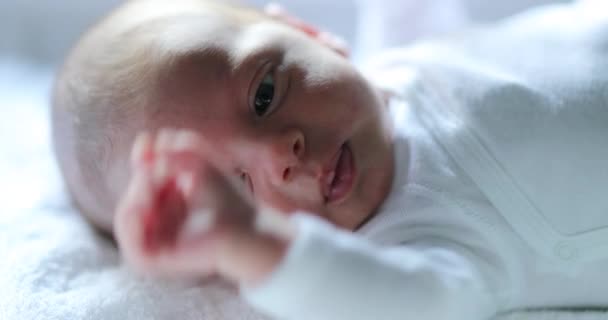 Νεογέννητο Μωρό Πρώτη Εβδομάδα Της Ζωής — Αρχείο Βίντεο