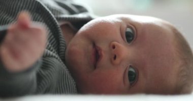 Cute baby infant toddler layed in bed looking to camera