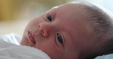 Close-up of newborn baby infant face awake first month of life