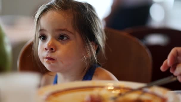Casual Candid Little Girl Child Lunch Table — Vídeos de Stock