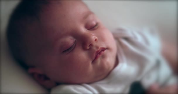 Infant Newborn Sleeping Dreaming Reaction — Stock Video