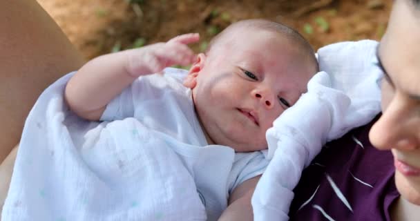 Baby Newborn Boy Outdoors Nature — kuvapankkivideo