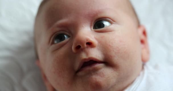 Portrait Newborn Baby Infant Looking Camera First Month Life — Vídeo de stock