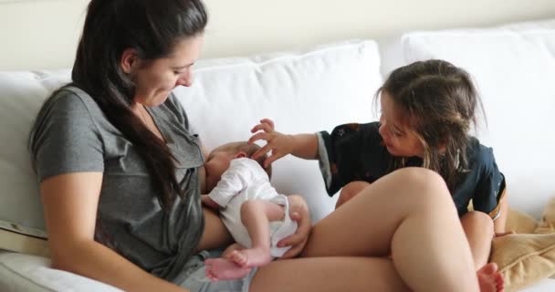 Candid Mother Holding Newborn Next Sibling Looking Baby Brother — Stock videók