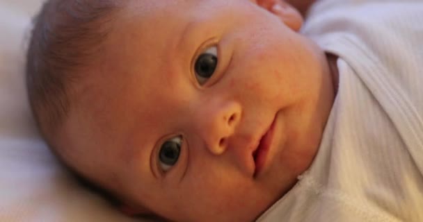 Closeup Newborn Baby Infant Face — Stock video