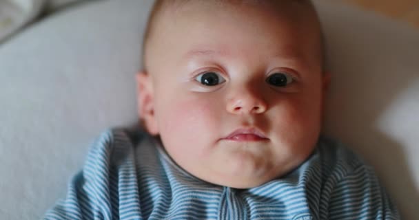 Cute Baby Portrait Face Looking Camera — Video