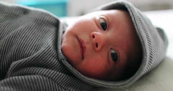 Adorable Cute Baby Weaing Hoodie Looking Camera Layed Bed — Stockvideo