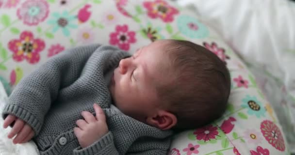 First Month Old Newborn Baby Infant — 图库视频影像