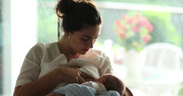 Mother Breastfeeding Newborn Baby Infant Home — Stock video