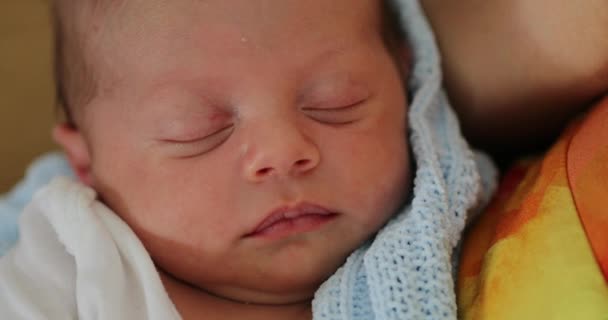 Closeup Newborn Baby Face Sleeping First Week Life — 비디오
