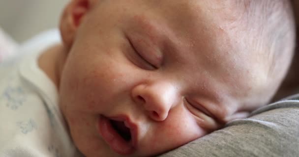 Portrait Newborn Baby Face Sleeping — Stockvideo