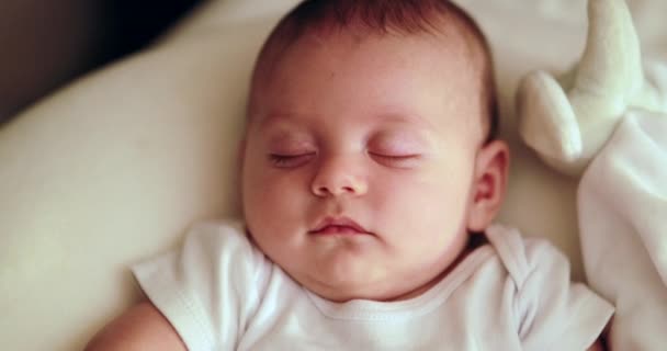 Serene Infant Baby Face Napping Adorable Cute Newborn Baby Sleeping — Vídeo de Stock