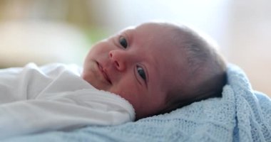 Newborn baby infant close-up face in first week of life