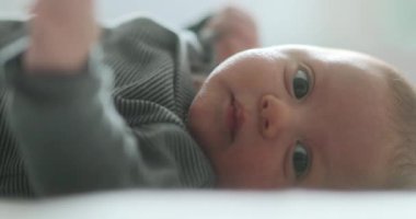 Dreamy baby toddler infant first month of age layed in bed