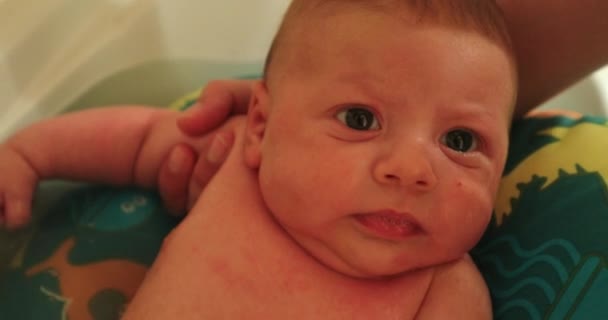 Bathing Newborn Baby Infant Bathtub — Stockvideo