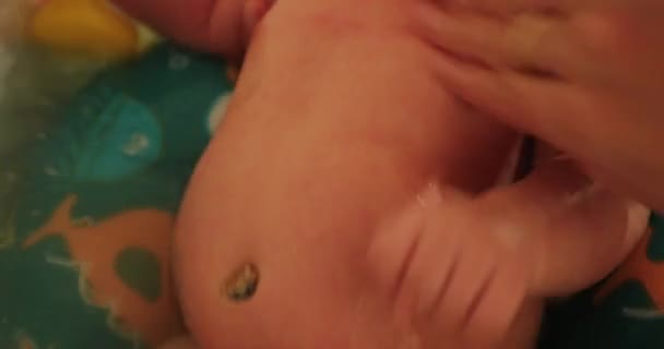 Bathing Newborn Baby Infant Bathtub — ストック動画