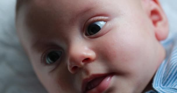 Closeup Baby Newborn Infant Face Macro Portrait — ストック動画