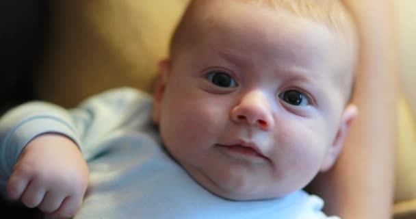 Adorable Cute Baby Newborn Face Looking Camera — Video
